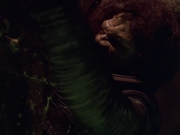 Filename=extant_StarTrek_VOY_5x21-Juggernaut_01898.jpg
Filesize=121KiB
Dimensions=1200x900
Date added=Nov 21, 2019 extant_StarTrek_VOY_5x21-Juggernaut_01898.jpg