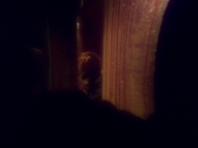 Filename=extant_StarTrek_VOY_5x21-Juggernaut_01987.jpg
Filesize=91KiB
Dimensions=1200x900
Date added=Nov 21, 2019 extant_StarTrek_VOY_5x21-Juggernaut_01987.jpg