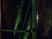 Filename=extant_StarTrek_VOY_5x21-Juggernaut_02872.jpg
Filesize=161KiB
Dimensions=1200x900
Date added=Nov 21, 2019 extant_StarTrek_VOY_5x21-Juggernaut_02872.jpg