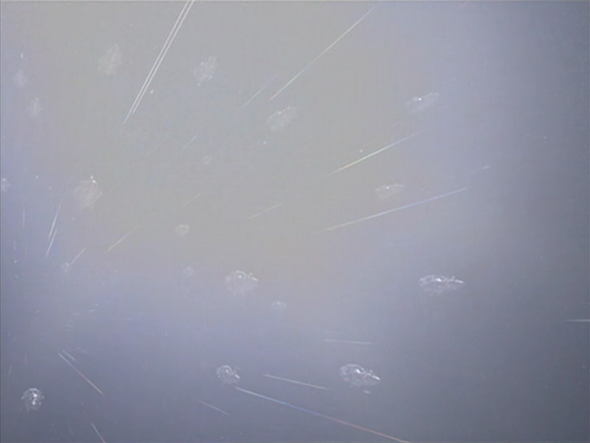 extant_StarTrek_VOY_5x25-Warhead_03574.jpg